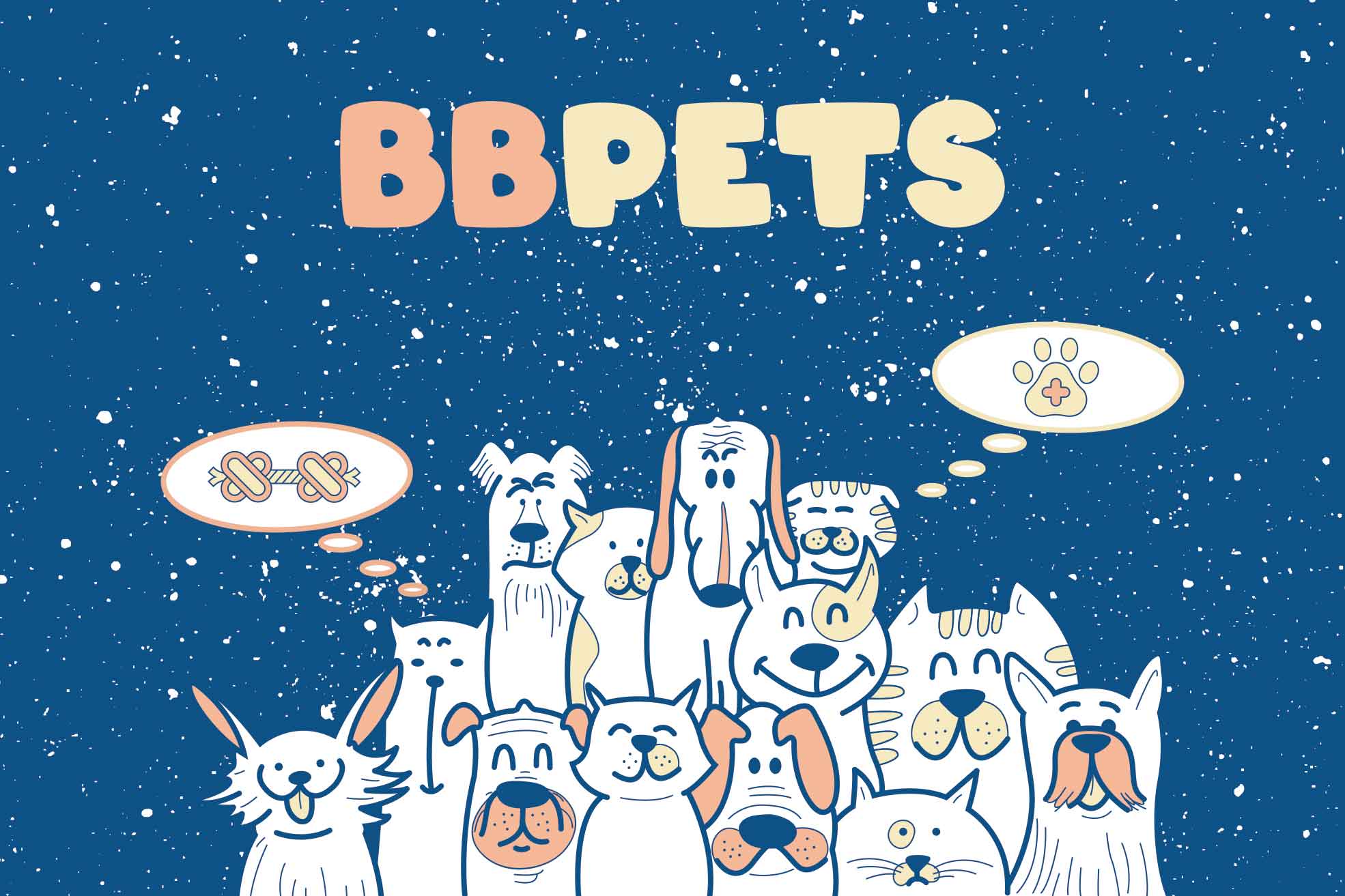 Cão e gato felizes – a cara da Associação de Proteção Animal BBPETS Madeira